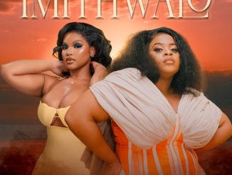 Nombulelo M Ft. MaWhoo & Q Twins - Imithwalo