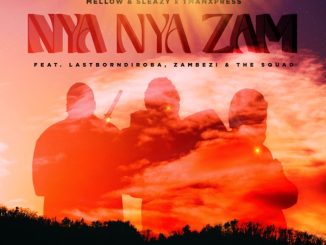 MP3: Mellow & Sleazy Ft. Tman Xpress, Lastborn Diroba, Zambezi & The Squad - Nya Nya Zam