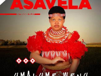 Asavela Ft. Mjolisi - Dali wami