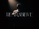ALBUM: Sfarzo Rtee - Rearabilwe