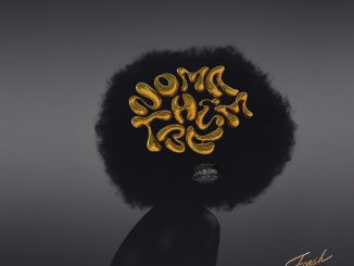 MP3: Musa Keys Ft. Dominiique - Nomathemba